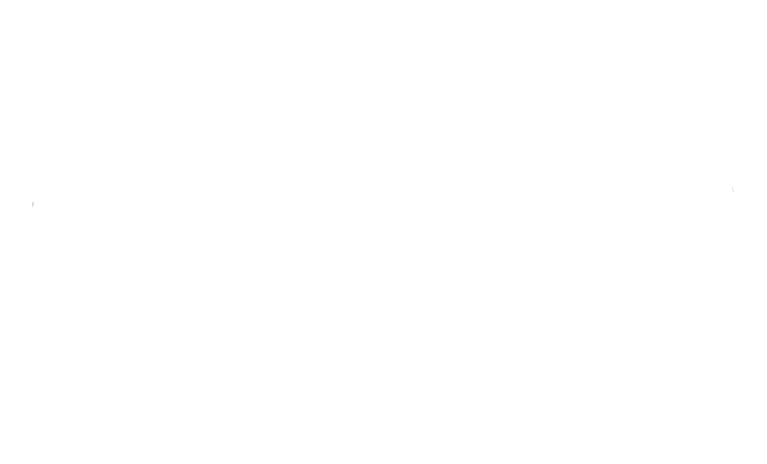 Daniel Automobil