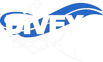 Divex